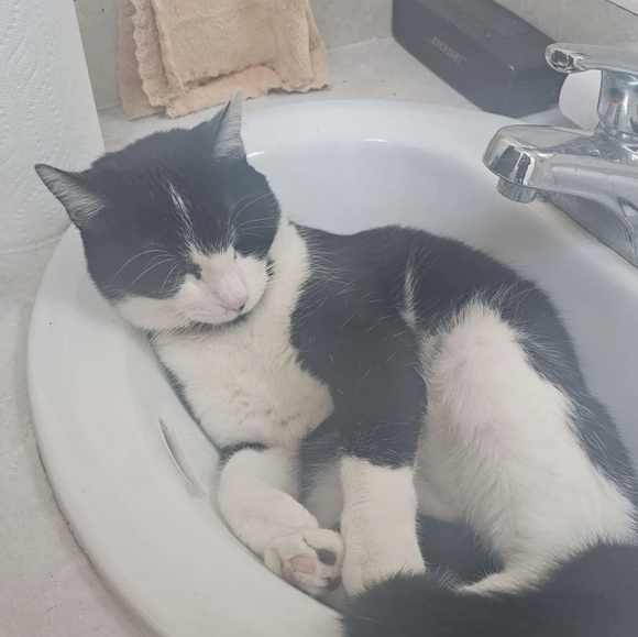 Meet your Posher, Kady - Picture 3 of 8